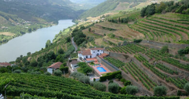 Wijn uit de Douro, een unieke wijnstreek.