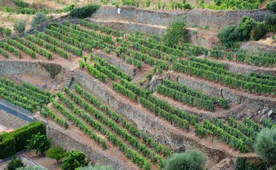 Terrasbouw in de Douro, een unieke wijnstreek.